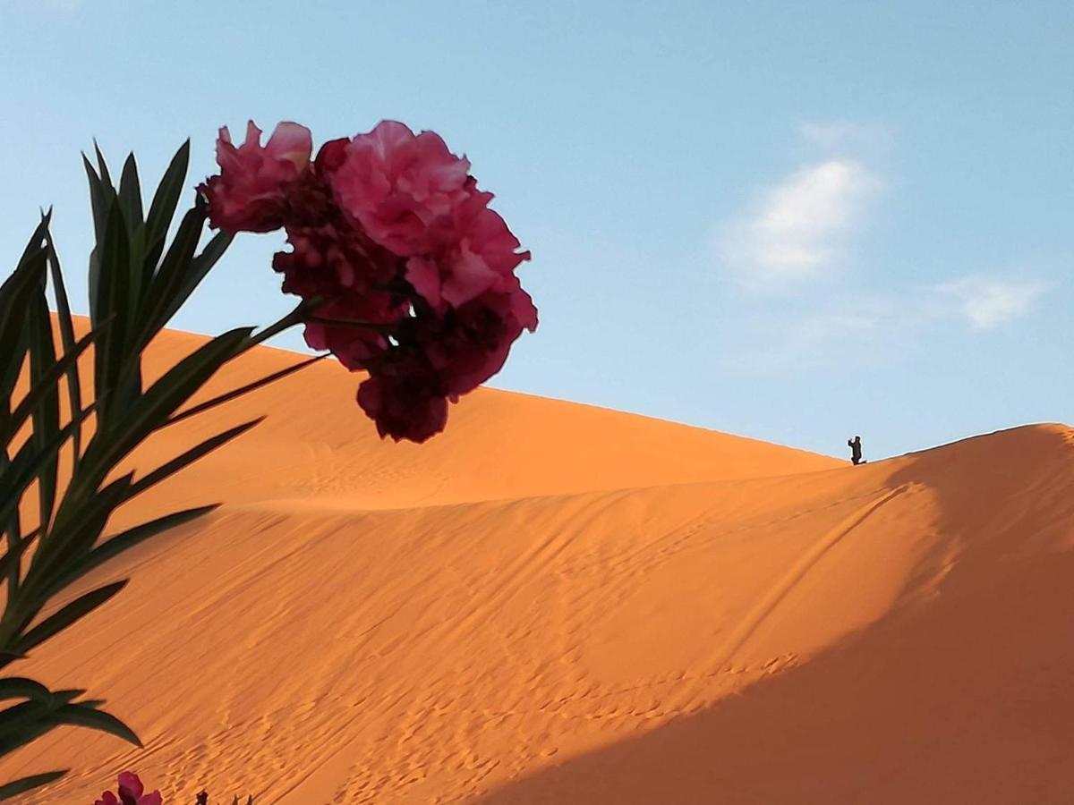 فندق Gambi Camp أدورين المظهر الخارجي الصورة