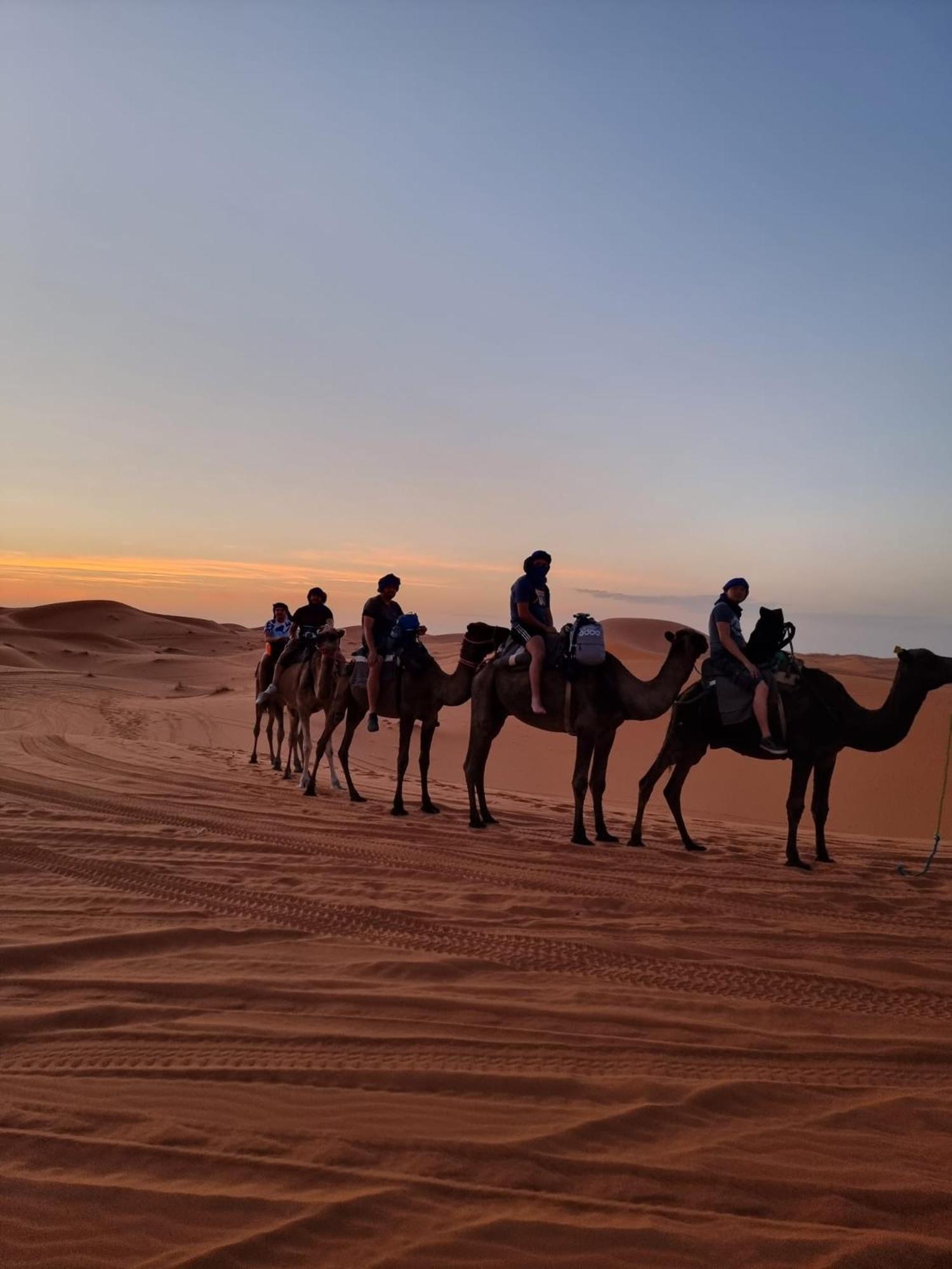 فندق Gambi Camp أدورين المظهر الخارجي الصورة