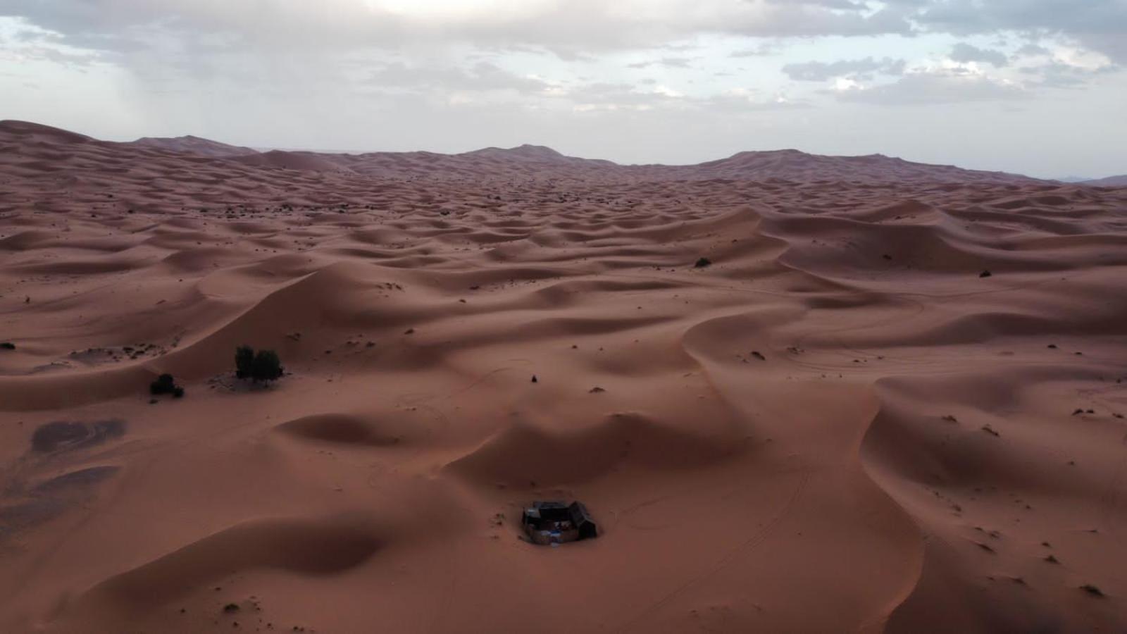 فندق Gambi Camp أدورين المظهر الخارجي الصورة