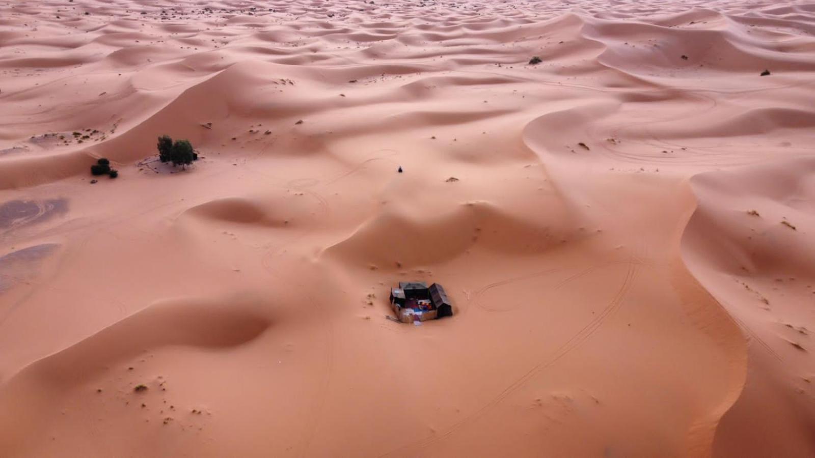 فندق Gambi Camp أدورين المظهر الخارجي الصورة